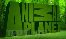 Animal Planet Online